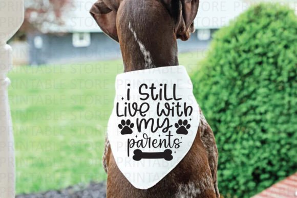Reviewing I Still Live with My Parents SVG for Embroidery